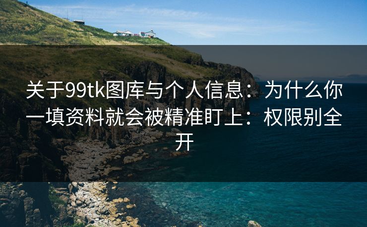 关于99tk图库与个人信息：为什么你一填资料就会被精准盯上：权限别全开